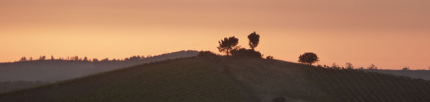 Pereiro de Palhacana, Alenquer